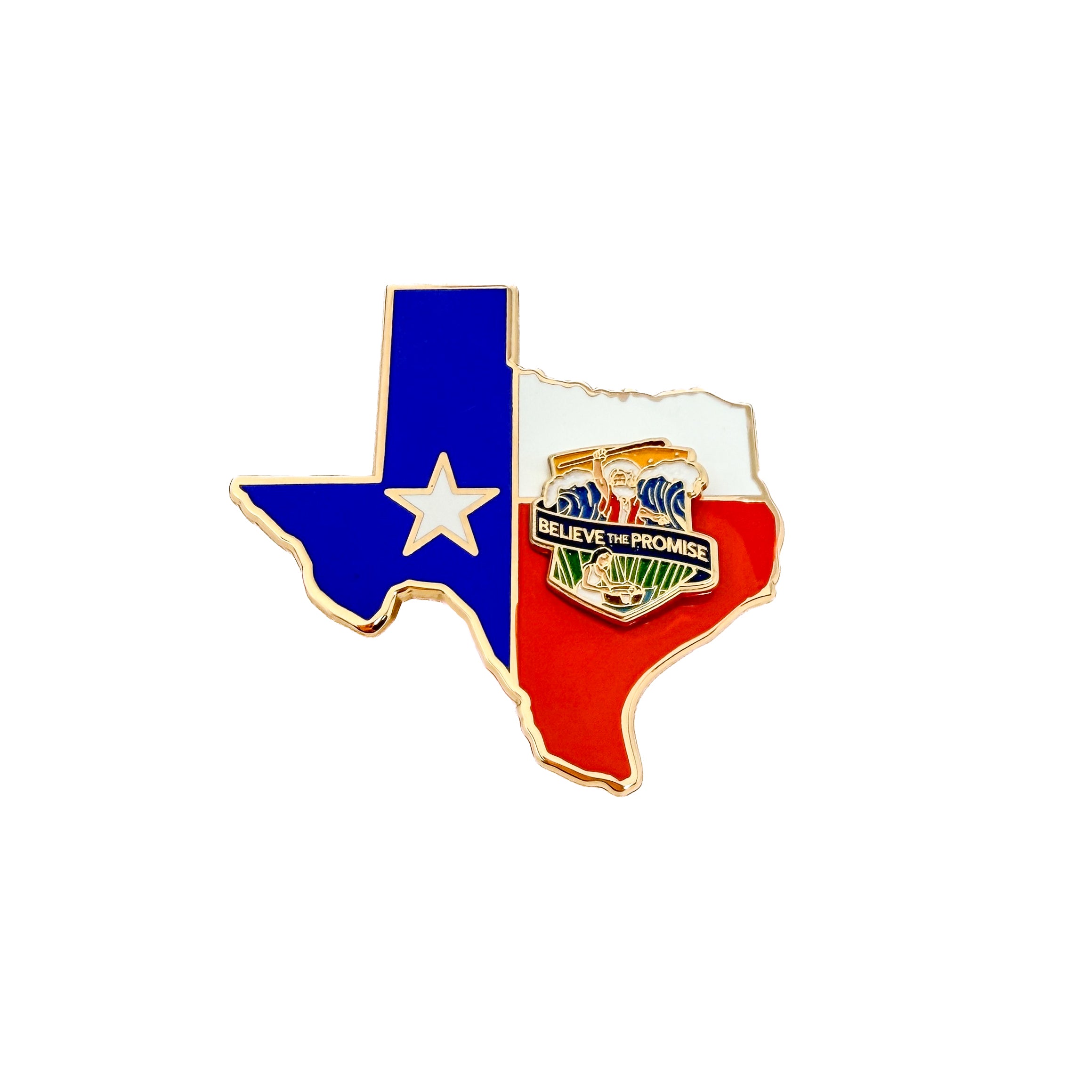 Texas Ministry Logo Pin