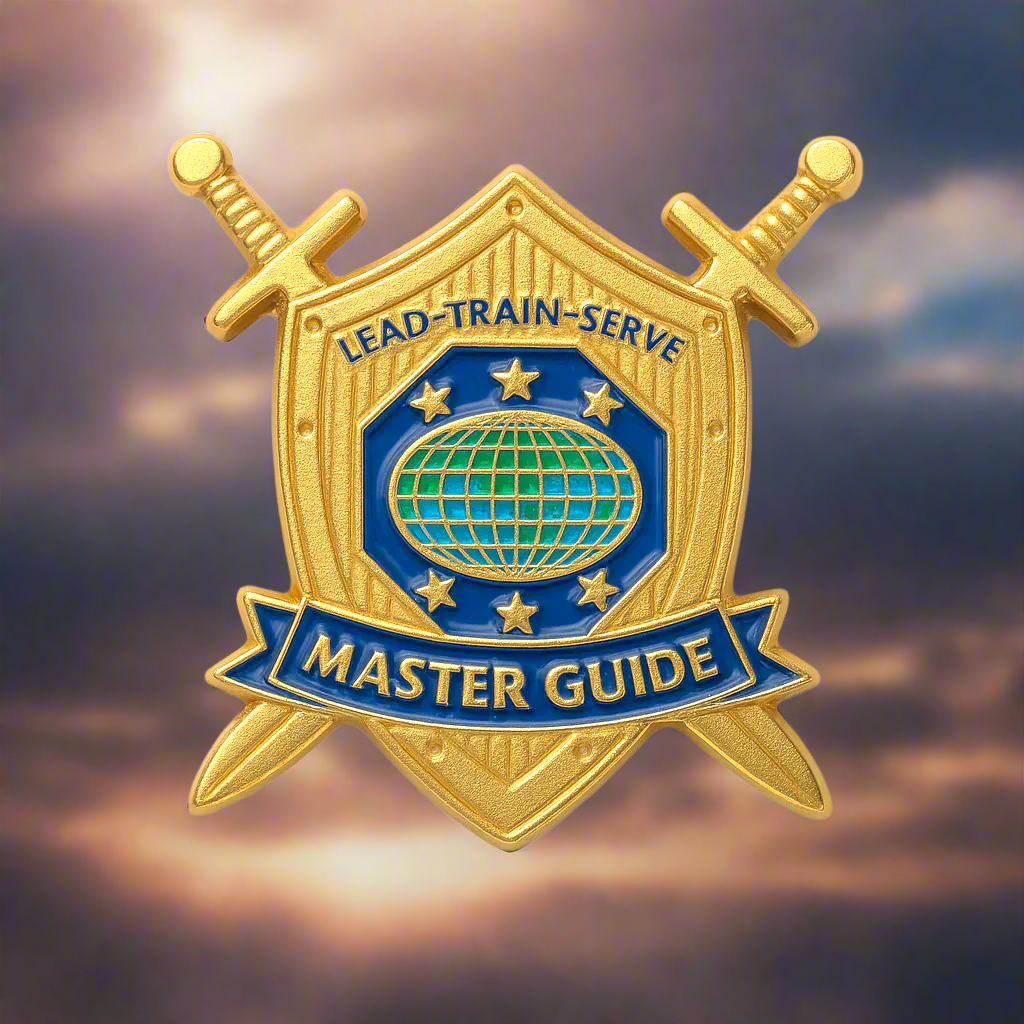 Master Guide Sword & Shield Pin